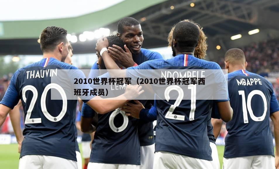 2010年世界杯足球赛决赛于2010年7月11日在南非约翰内斯堡的足球城体育场进行